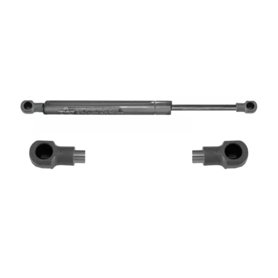 AMORTIGUADOR CAJUELA FD FOCUS 00-04 DER/IZQ MNJ