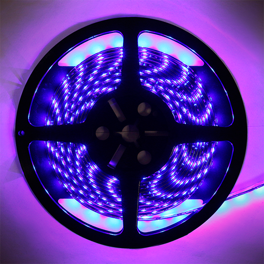 TIRA DE 5 METROS 300 HIPERLET 5050 FONDO NEGRO MORADO