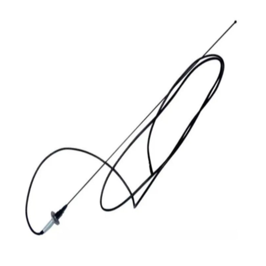 ANTENA CAMIONETAS FORD DUTTY